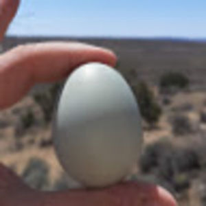 Meet your Posher, Joshua